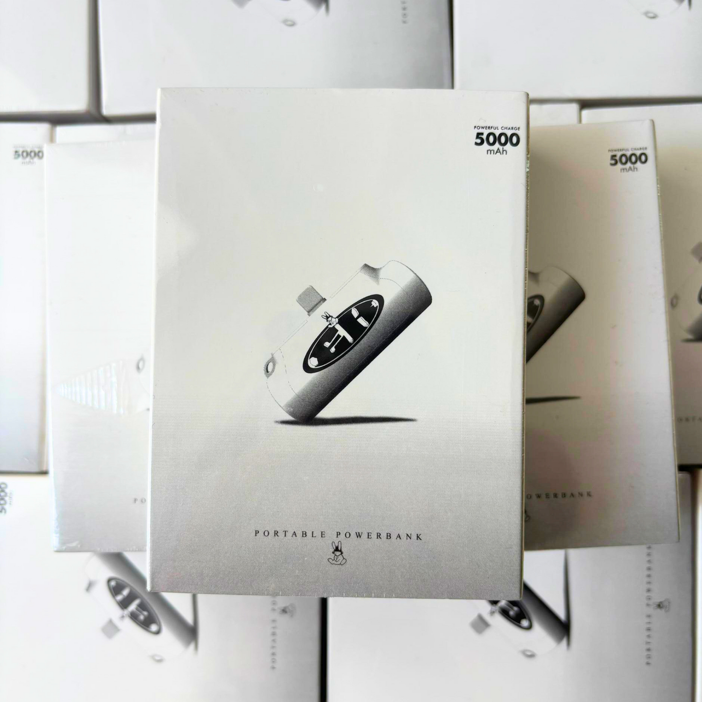 EK Power Bank